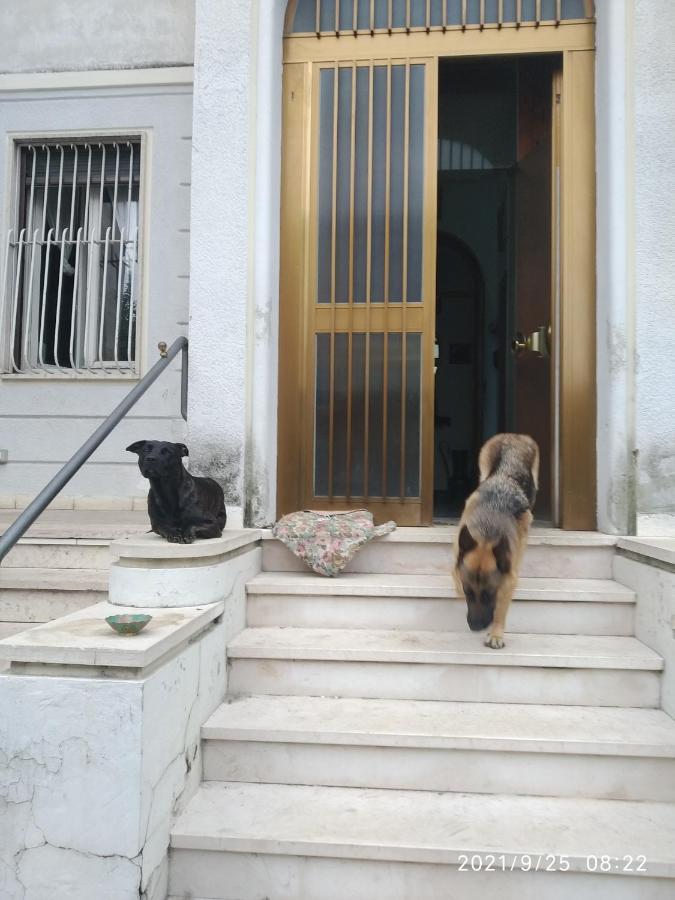 Bed and Breakfast Chez Martha Верона Экстерьер фото